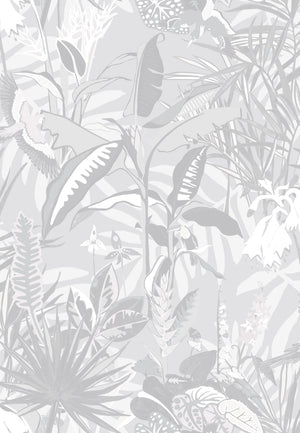 The Tropics wallpaper by Brand McKenzie in grey, detail of tropical leaves and birds