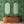 Tropical Forest wallpaper by Brand McKenzie in green and pink, tropical leaves in a bathroom
