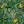 Tropical Forest wallpaper by Brand McKenzie in green and yellow, pattern detail of tropical leaves