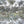 Tropical Reflections wallpaper by Brand McKenzie in grey and green, close view of palms reflected in water