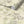 Wrens in Ivy wallpaper by Seed Home Designs in white, roll showing wrens among ivy