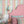 Popsicle wallpaper by Liberty James Studio in pink and blue, roll showing wavy popsicle stripes