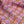 Beach Blanket linen by Bethie Tricks in pink and orange, in soft folds showing a bold check