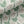 Bindweed Pink Trumpet linen by Annika Reed in green and pink, in soft folds showing trailing bindweed flowers