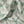 Bindweed Pink Trumpet linen by Annika Reed in green and pink, draped, showing trailing bindweed flowers