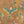 Birds in Paradise wallpaper by Brand McKenzie in gold, close-up of tropical birds on blossoming branches