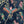 Birds in Paradise wallpaper by Brand McKenzie in navy, detail of tropical birds on blossoming branches