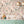 Birds in Paradise wallpaper by Brand McKenzie in pink behind a console table (alternate view)