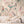 Birds in Paradise wallpaper by Brand McKenzie in pink, tropical birds on blossoming branches above a sideboard