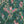 Birds in Paradise wallpaper by Brand McKenzie in teal, close-up of tropical birds on blossoming branches