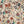 Bloomsbury Grande wallpaper by Parker and Jules in cream and red, pattern sample of large painterly flowers