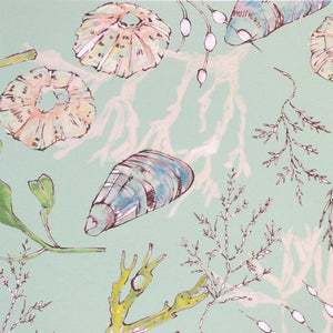Coastal Cove wallpaper by Seed Home Designs in green, full repeat of line-drawn shells and seaweed