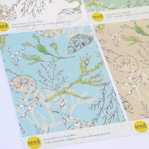 Coastal Cove wallpaper by Seed Home Designs in blue, full repeat of line-drawn shells and seaweed