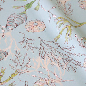 Coastal Cove fabric by Seed Home Designs in blue, flat sample of line-drawn shells and seaweed