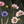 Botanica velvet by Victoria Sanders in green, detail of wildflowers and poppies