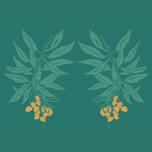 Branch of Mango wallpaper by Annika Reed in teal and orange, detail of mango branches