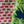 Brushstroke linen by Bethie Tricks in pink, close-up of painted brushstrokes