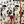 Burlesque wallpaper by Dupenny in red, burlesque dancers on a feature wall