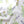 Buttercup and Bluebells fabric by Seed Home Designs in blue and yellow, draped, showing buttercups and bluebells