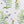 Buttercup and Bluebells fabric by Seed Home Designs in blue and yellow, full repeat of buttercups and bluebells