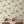 Sustainable Butterfly and wallpaper by Seed Home Designs in green, butterflies and ferns in a dining area