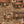 Canine Cards wallpaper by Brand McKenzie in brown, close-up of dogs playing cards