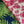 Canopy linen by Bethie Tricks in navy, draped close-up of palm fronds