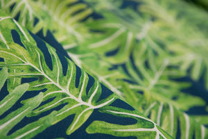 Canopy linen by Bethie Tricks in navy, close-up of palm fronds