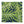 Canopy linen by Bethie Tricks in navy, flat sample of palm fronds