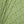 Canopy linen by Bethie Tricks in green, draped, showing palm fronds