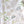 Coastal Cove fabric by Seed Home Designs in white, flat sample of line-drawn shells and seaweed