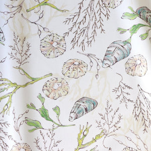Coastal Cove fabric by Seed Home Designs in white, flat sample of line-drawn shells and seaweed