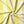 Citrus Collection Eco velvet by Liberty James Studio in yellow and white, in soft folds showing wide stripes