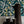 Climbing Vine wallpaper by Annika Reed in teal and yellow, climbing vines above a sideboard