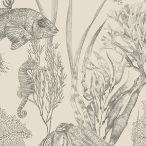 Seaview wallpaper by XV Interiors in cream, close-up of fish among seaweed