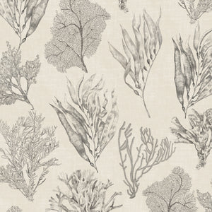 Kelp Forest wallpaper by XV Interiors in cream, flat sample of kelp and seaweed