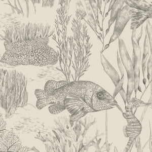 Seaview wallpaper by XV Interiors in cream, close view of fish among seaweed