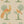 A Jackdaw and Peacock Feathers wallpaper by Annika Reed in orange and green, close-up of birds and stylised trees