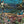 Club Safari wallpaper by Brand McKenzie in turquoise, close-up of a lush safari scene