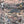 Club Safari wallpaper by Brand McKenzie in grey, close view of a lush safari scene