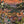 Club Safari wallpaper by Brand McKenzie in orange, close-up of a lush safari scene