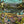 Club Safari wallpaper by Brand McKenzie in green and turquoise, pattern detail of a lush safari scene