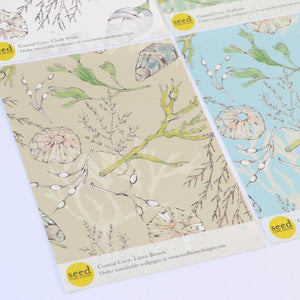 Coastal Cove wallpaper by Seed Home Designs in brown, full repeat of line-drawn shells and seaweed