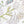Coastal Cove wallpaper by Seed Home Designs in white, pattern sample of line-drawn shells and seaweed