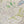 Coastal Cove wallpaper by Seed Home Designs in brown, flat sample of line-drawn shells and seaweed