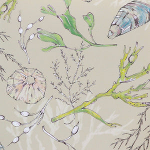 Coastal Cove wallpaper by Seed Home Designs in brown, flat sample of line-drawn shells and seaweed