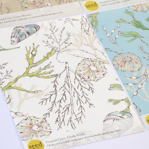 Coastal Cove wallpaper by Seed Home Designs in white, flat sample of line-drawn shells and seaweed