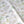 Coastal Cove fabric by Seed Home Designs in white, full repeat of line-drawn shells and seaweed