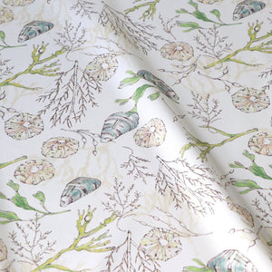 Coastal Cove fabric by Seed Home Designs in white, full repeat of line-drawn shells and seaweed
