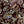 Bloomsbury Grande wallpaper by Parker and Jules in brown, flat sample of large painterly flowers